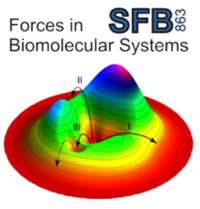 SFB SFB